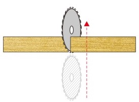 { $detailData.image.name}